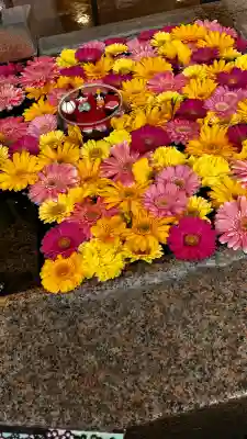 金峯神社の{uncategorized: "未分類", other: "その他", undefined: "問題あり", building: "その他建物", grave: "お墓", sacred_gate: "鳥居", guardian: "狛犬", statue: "像", buddha: "仏像", history: "歴史", nature: "自然", garden: "庭園", animal: "動物", pagoda: "塔", temizu: "手水舎", mountain_gate: "山門・神門", sanctuary: "本殿・本堂", subordinate: "末社・摂社", art: "芸術", scenery: "景色", jizo: "地蔵", ema: "絵馬", goshuin: "御朱印", omikuji: "おみくじ", items: "授与品その他", amulet: "お守り", goshuincho: "御朱印帳", eats: "食事", festival: "お祭り", votive_dance: "神楽", shichigosan: "七五三参", wedding: "結婚式", experience: "体験その他", initially: "初詣", around: "周辺", anti_infection: "感染症対策"}