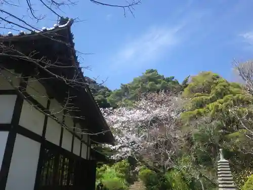 浄光明寺のその他建物