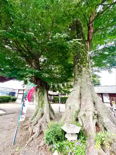 八枝神社(埼玉県)