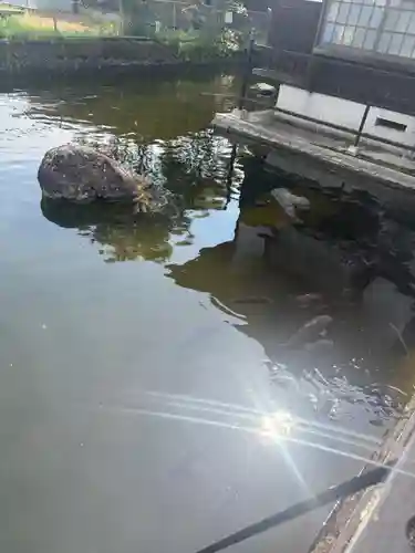 白蛇辨財天(栃木県)