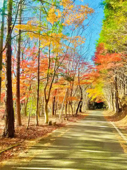 日輪寺の{uncategorized: "未分類", other: "その他", undefined: "問題あり", building: "その他建物", grave: "お墓", sacred_gate: "鳥居", guardian: "狛犬", statue: "像", buddha: "仏像", history: "歴史", nature: "自然", garden: "庭園", animal: "動物", pagoda: "塔", temizu: "手水舎", mountain_gate: "山門・神門", sanctuary: "本殿・本堂", subordinate: "末社・摂社", art: "芸術", scenery: "景色", jizo: "地蔵", ema: "絵馬", goshuin: "御朱印", omikuji: "おみくじ", items: "授与品その他", amulet: "お守り", goshuincho: "御朱印帳", eats: "食事", festival: "お祭り", votive_dance: "神楽", shichigosan: "七五三参", wedding: "結婚式", experience: "体験その他", initially: "初詣", around: "周辺", anti_infection: "感染症対策"}