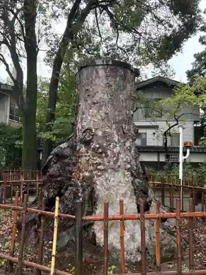 武蔵一宮氷川神社(埼玉県)