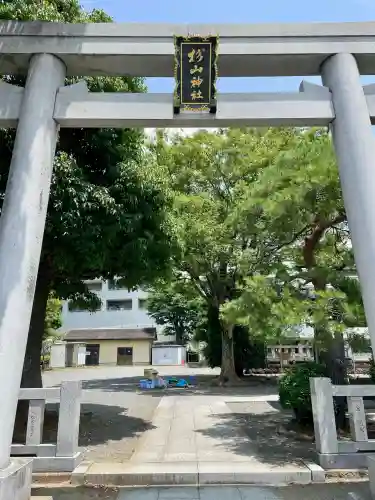 大棚・中川杉山神社(神奈川県)