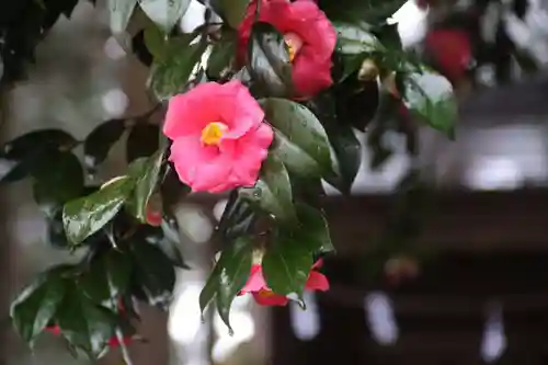 鹿島大神宮の自然