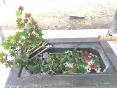 北広島市総鎮守 廣島神社の手水舎