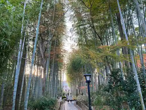 修禅寺(静岡県)