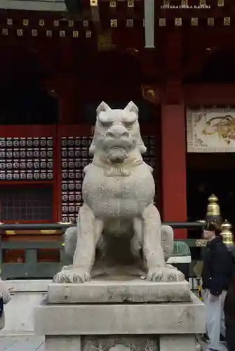 神田神社（神田明神）の狛犬