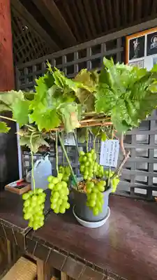 大善寺(山梨県)