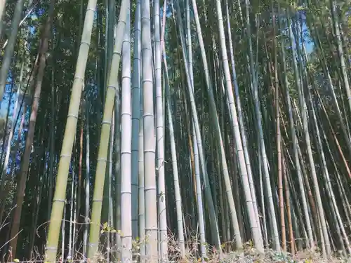 天龍寺(京都府)