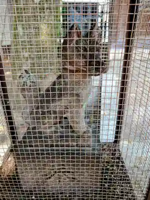 女塚神社(東京都)