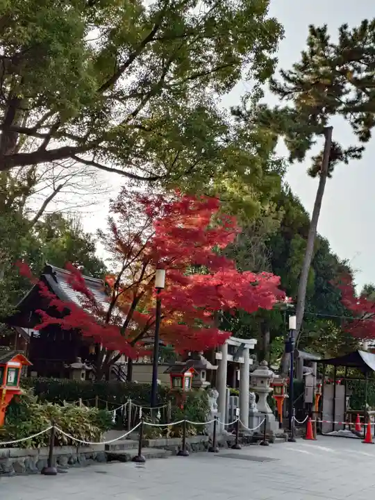 八坂神社(祇園さん)(京都府)