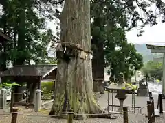 飛騨一宮水無神社(岐阜県)