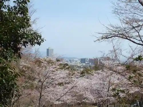 園城寺（三井寺）の自然