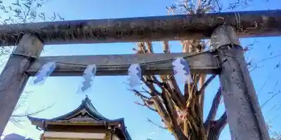 白幡八幡神社(東京都)
