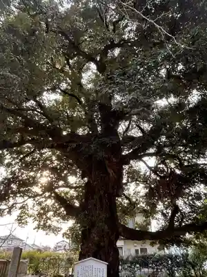 一之宮貫前神社(群馬県)
