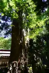 磐椅神社の自然