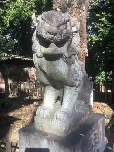 丸山神明社の狛犬