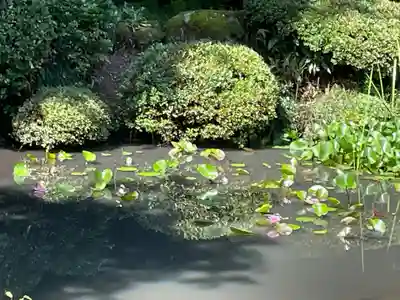 国上寺(新潟県)