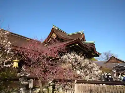 北野天満宮(京都府)