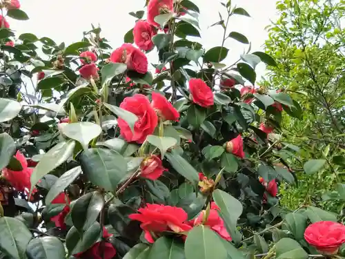 椿宮神明社(愛知県)