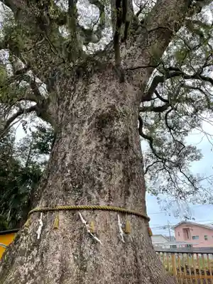 伊勢神明社の自然