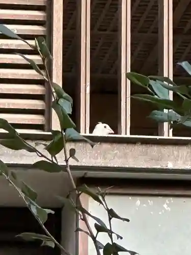 靖國神社(東京都)