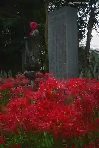 宝蔵院(東京都)