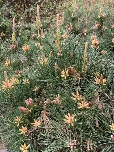 諏訪神社(神奈川県)
