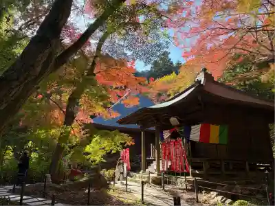 普門寺(切り絵御朱印発祥の寺)(愛知県)