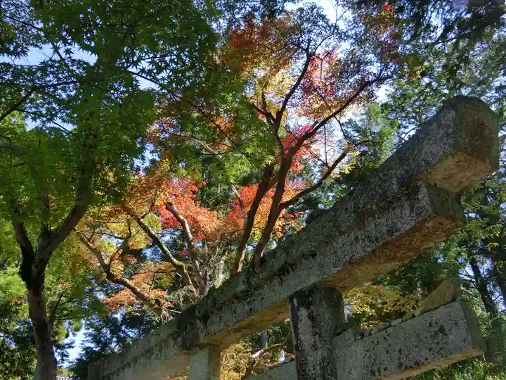 曼殊院門跡のその他建物