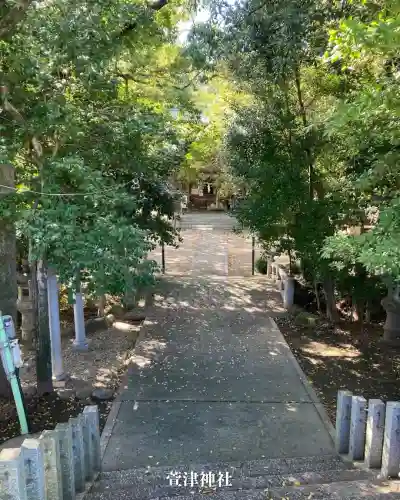 萱津神社(愛知県)