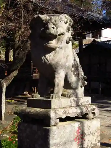 黒戸奈神社の狛犬