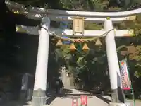宝登山神社(埼玉県)