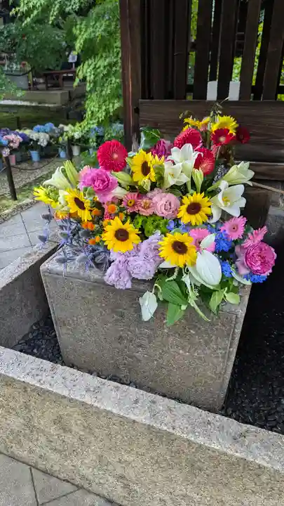 勝林寺(京都府)