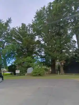 鹿島神社(茨城県)