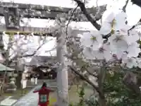 湊八幡神社(福井県)