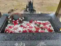 正一位 若草稲荷神社の手水舎