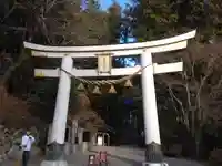 宝登山神社(埼玉県)
