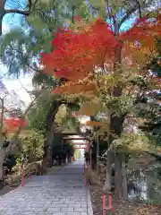 永山神社の自然