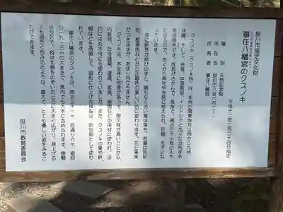 事任八幡宮(静岡県)