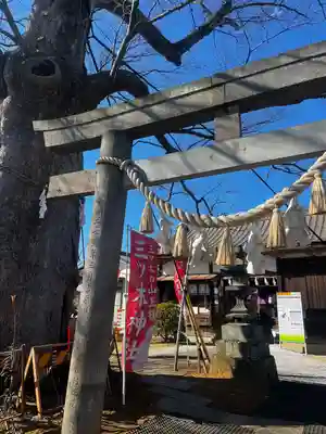 三ツ木神社(埼玉県)