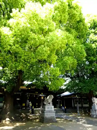 穴八幡宮(東京都)