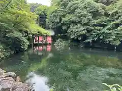 富士山本宮浅間大社(静岡県)