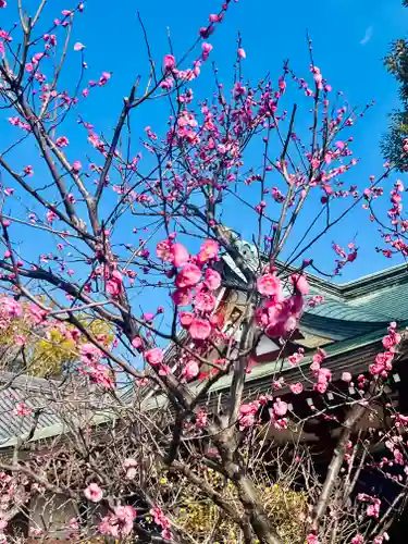 亀戸天神社(東京都)