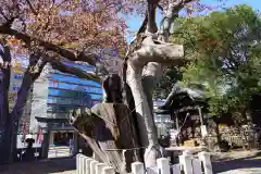 阿邪訶根神社の自然