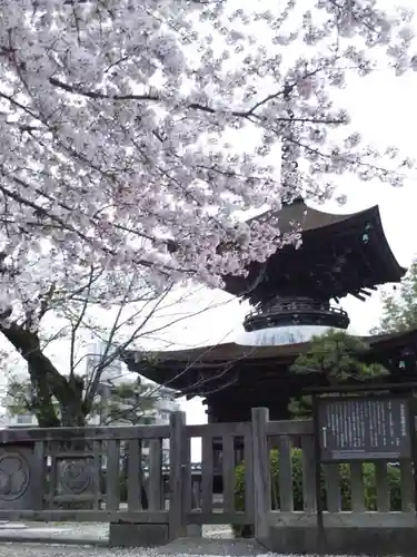 大樹寺（松安院大樹寺）の塔