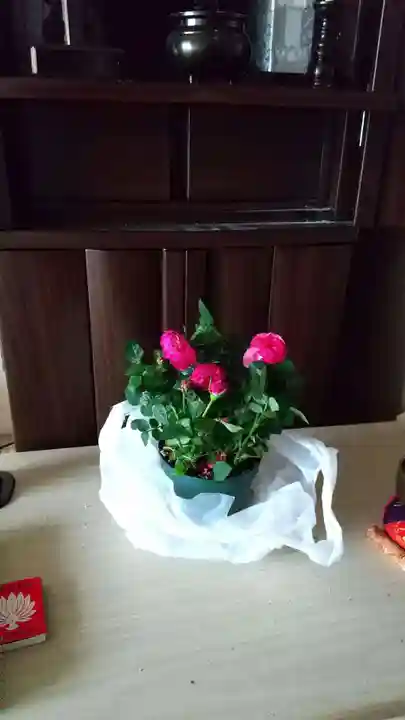 七尾神社の授与品その他