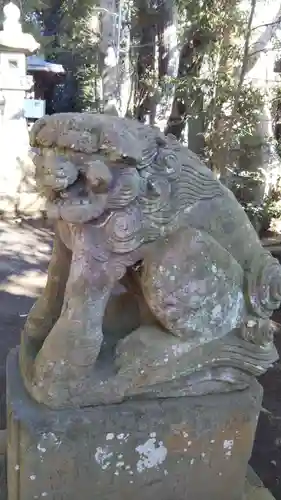 七百餘所神社 の狛犬