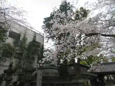 品川寺(東京都)
