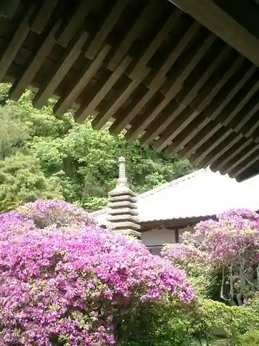 安養院　(田代寺）の塔